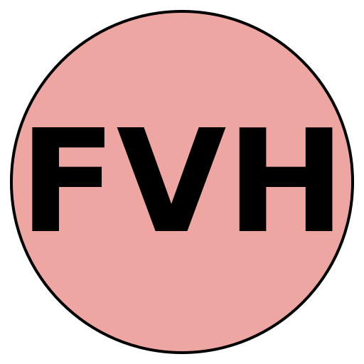 FitVision Hub